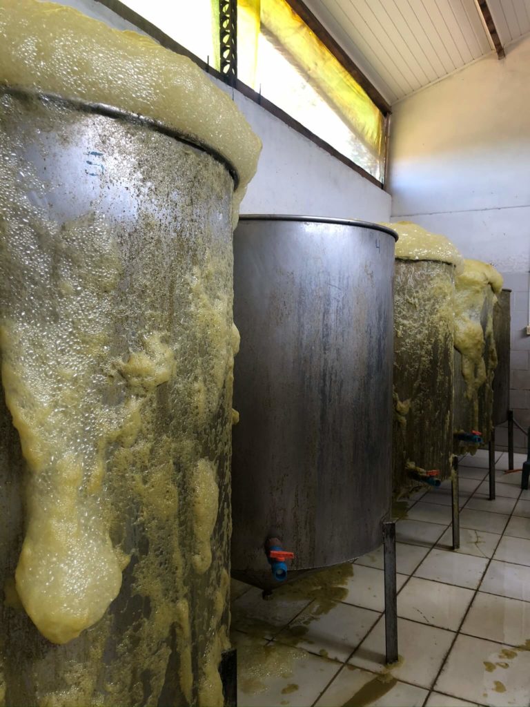 Cachaçaria da Fazenda Vaccaro - Destilaria