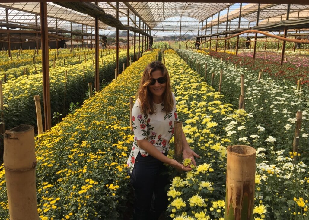Tour pelas fazendas de flores em Holambra - SP, um programa imperdível