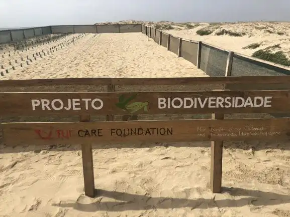 Atrações de Cabo Verde na Ilha do Sal - Praia de Santa Maria
