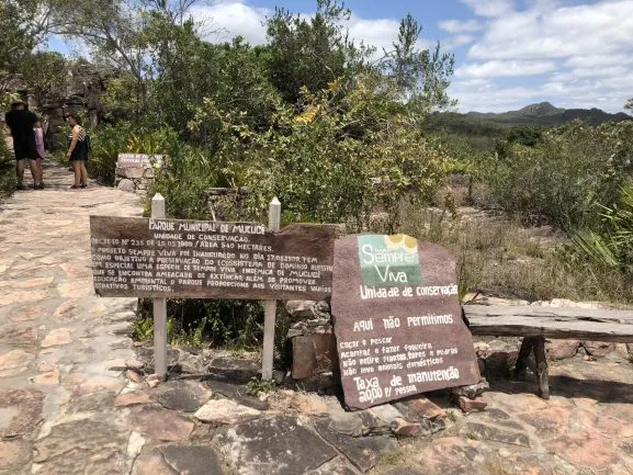 Projeto Sempre Viva em Mucugê Bahia