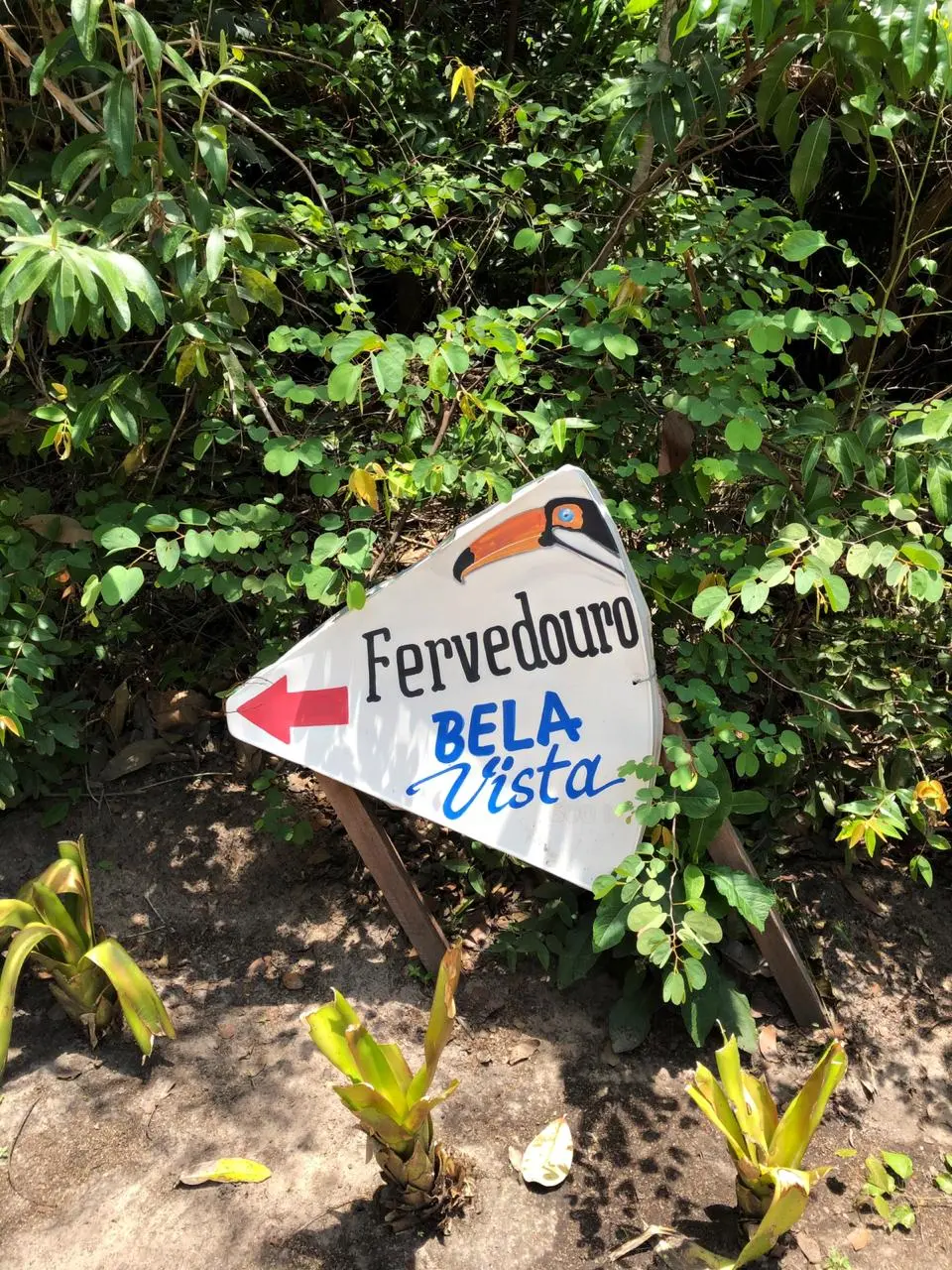 Chegada no Fervedouro Bela Vista - Jalapão