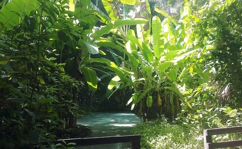 Fervedouro do Rio do Sono