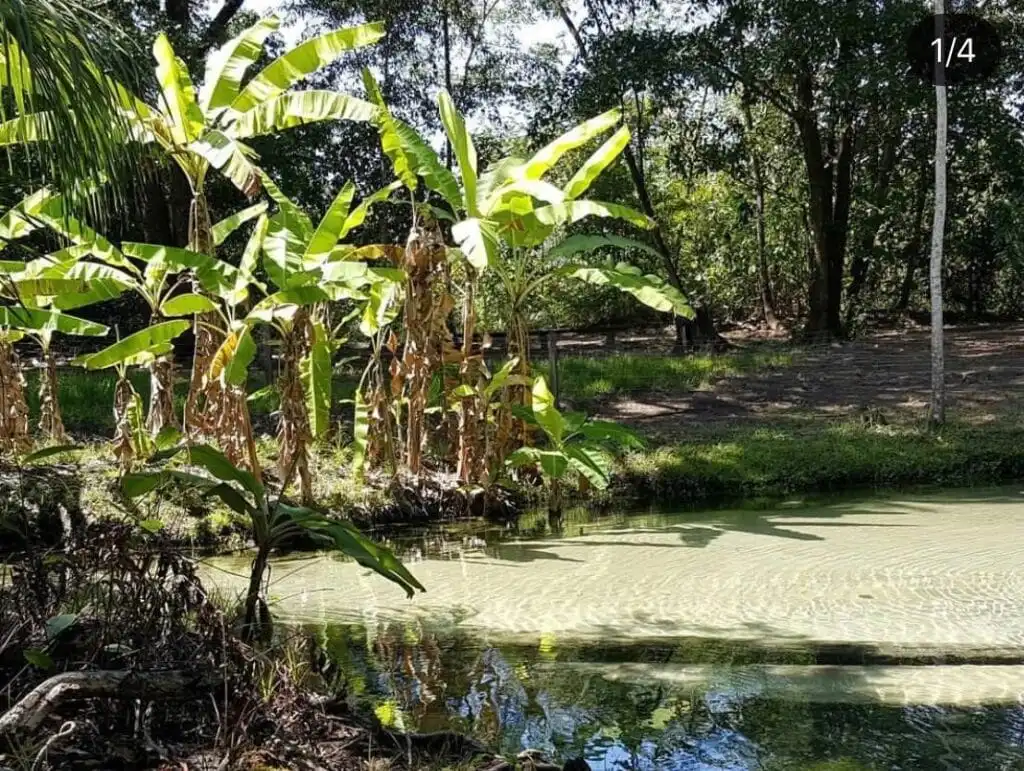 Fervedouro da Korubo ou Soninho no Jalapão