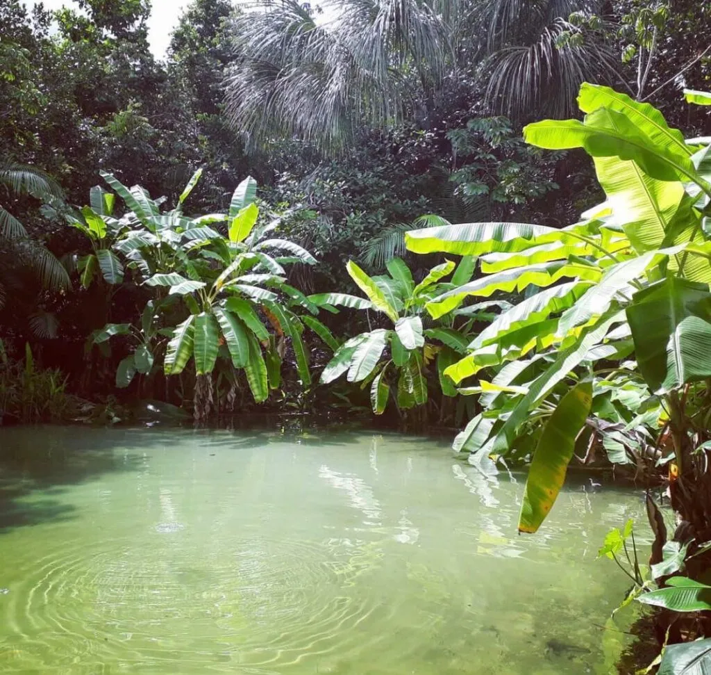 Fervedouro do Salto - Jalapão