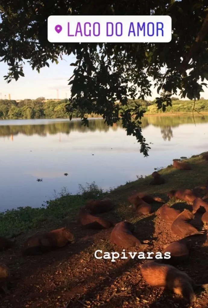 Atrações de Campo Grande MS - Lago do Amor