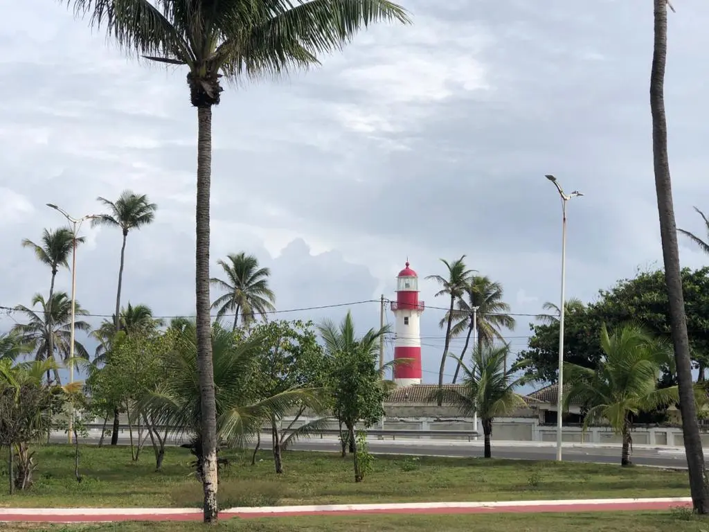 10 passeios gratuitos e imperdíveis em Salvador Ba