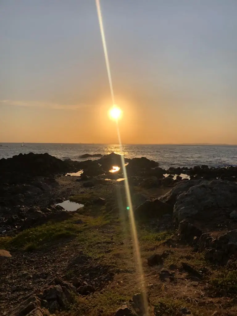 10 passeios gratuitos e imperdíveis em Salvador Ba