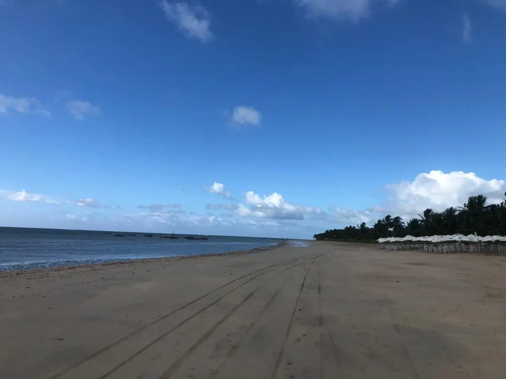 São Miguel dos Milagres, em Alagoas, é um daqueles destinos imperdíveis para quem ama praia. Veja mais sobre ele e outras praias próximas!